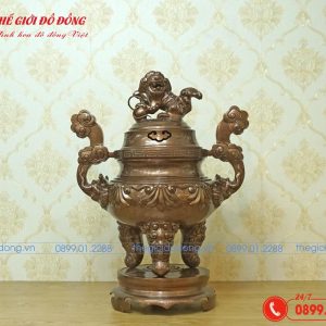 dinh-dong-do-hoa-soi-gia-co-01