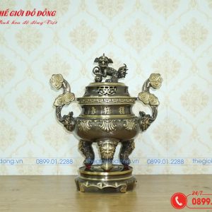 dinh-dong-tho-cung-hoa-tiet-hoa-soi-mau-xanh-cao-cao-60-cm-01