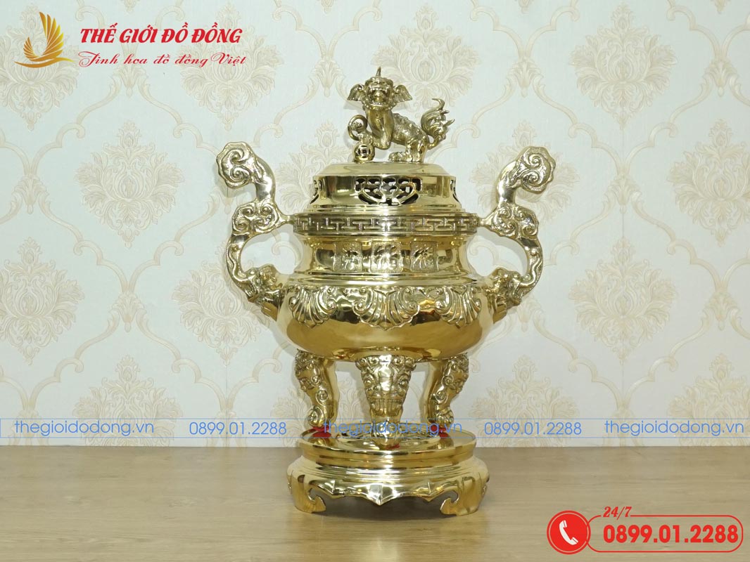dinh-dong-tho-cung-mau-vang-bong-hoa-tiet-soi-cao-50cm-01 dinh-dong-tho-cung-mau-vang-bong-hoa-tiet-soi-cao-50cm-01