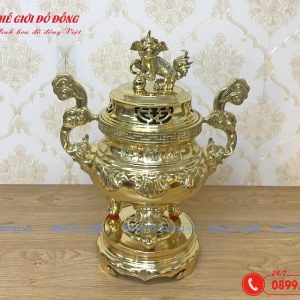 dinh-dong-tho-cung-mau-vang-bong-hoa-tiet-soi-cao-50cm-02