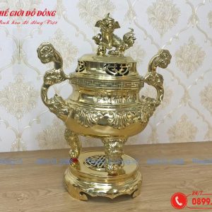 dinh-dong-tho-cung-mau-vang-bong-hoa-tiet-soi-cao-50cm-03