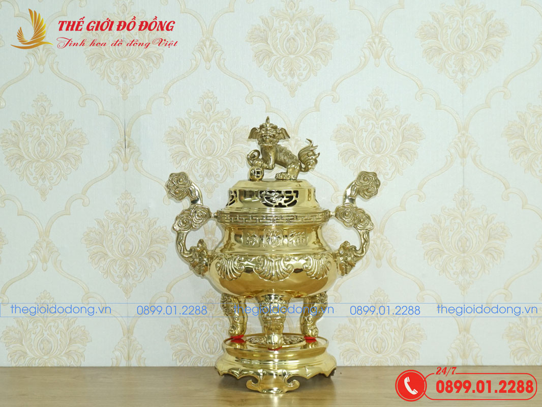 dinh-soi-mau-vang-bong-cao-40cm-01 đỉnh sòi màu vàng bóng cao 40cm - 01