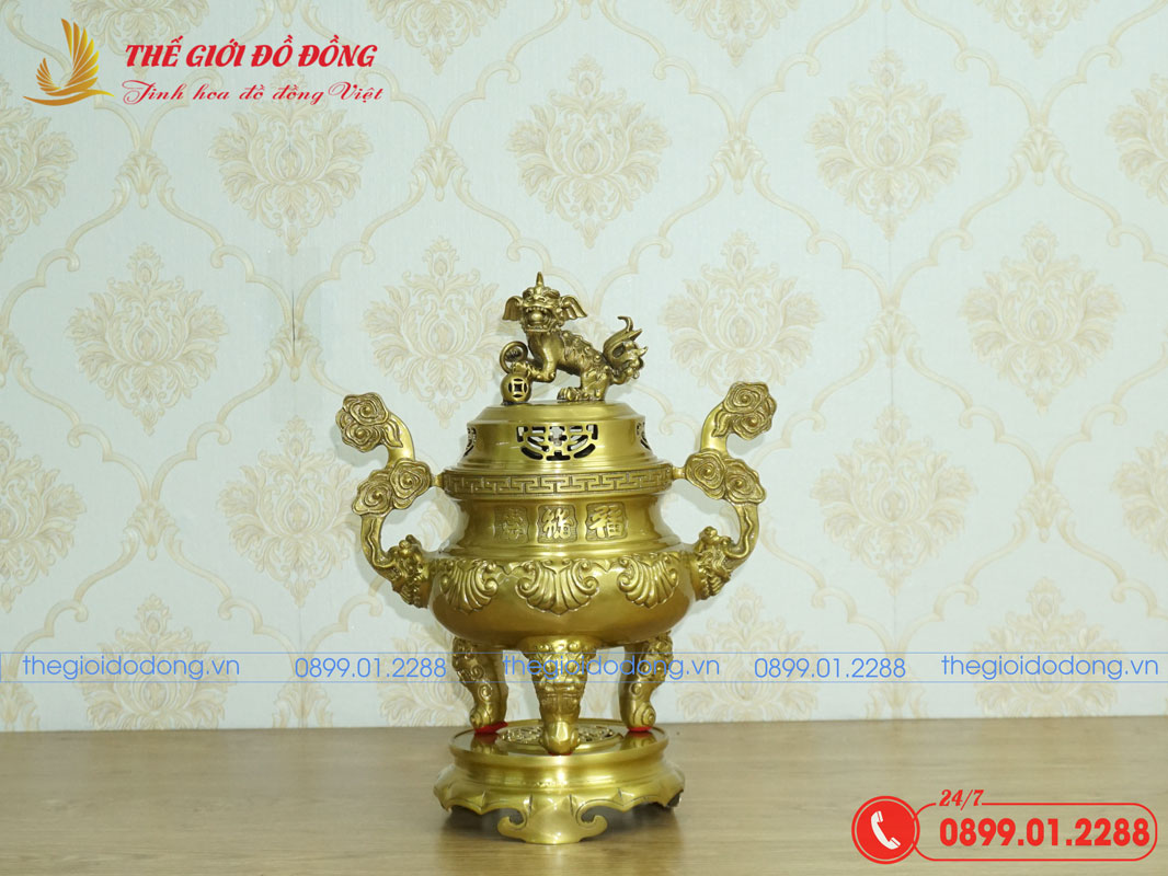 dinh-soi-mau-vang-dam-cao-40cm-01 đỉnh sòi màu vàng đậm cao 40cm - 01