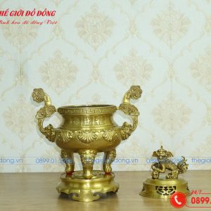 đỉnh sòi màu vàng đậm cao 40cm - 03