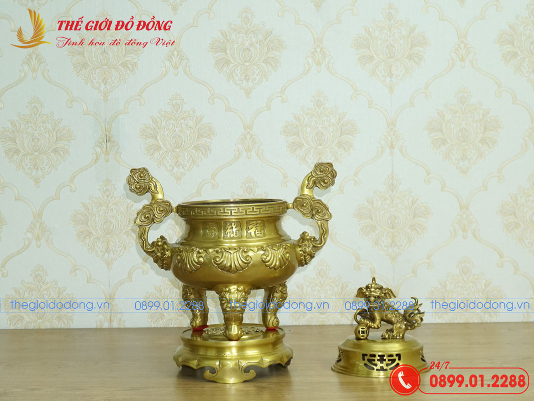 dinh-soi-mau-vang-dam-cao-40cm-03 đỉnh sòi màu vàng đậm cao 40cm - 03