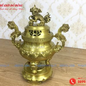 đỉnh sòi màu vàng đậm cao 40cm - 05