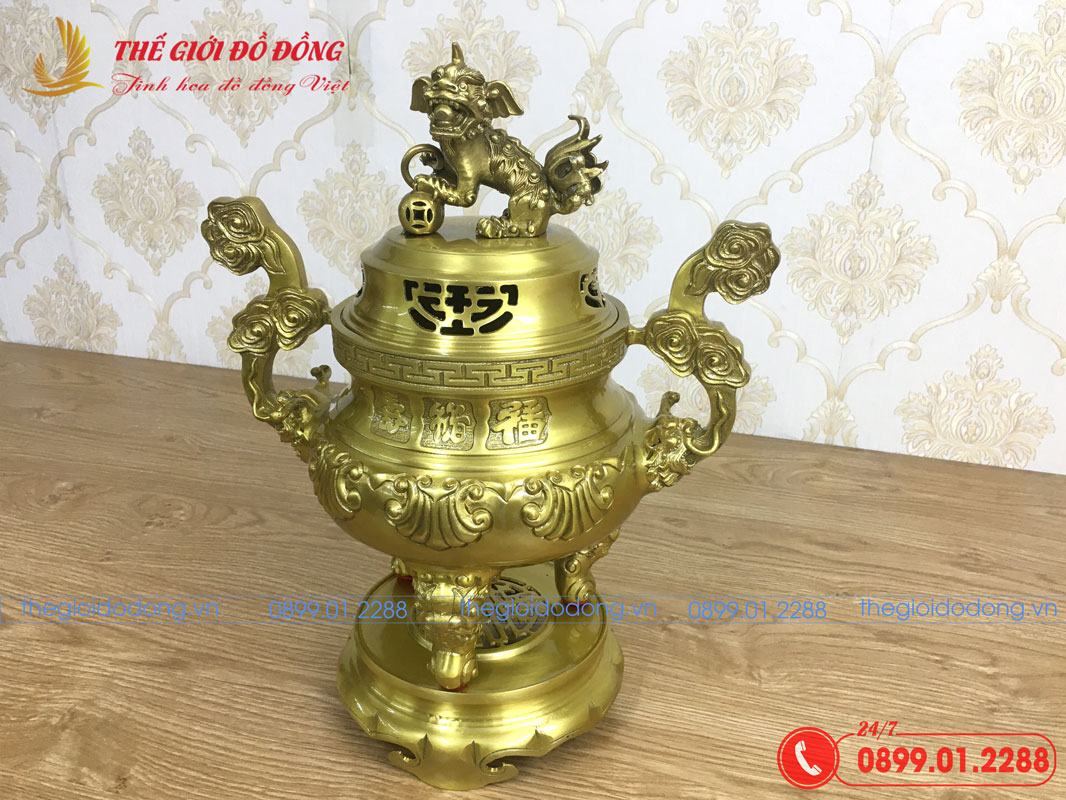dinh-soi-mau-vang-dam-cao-40cm-05 đỉnh sòi màu vàng đậm cao 40cm - 05
