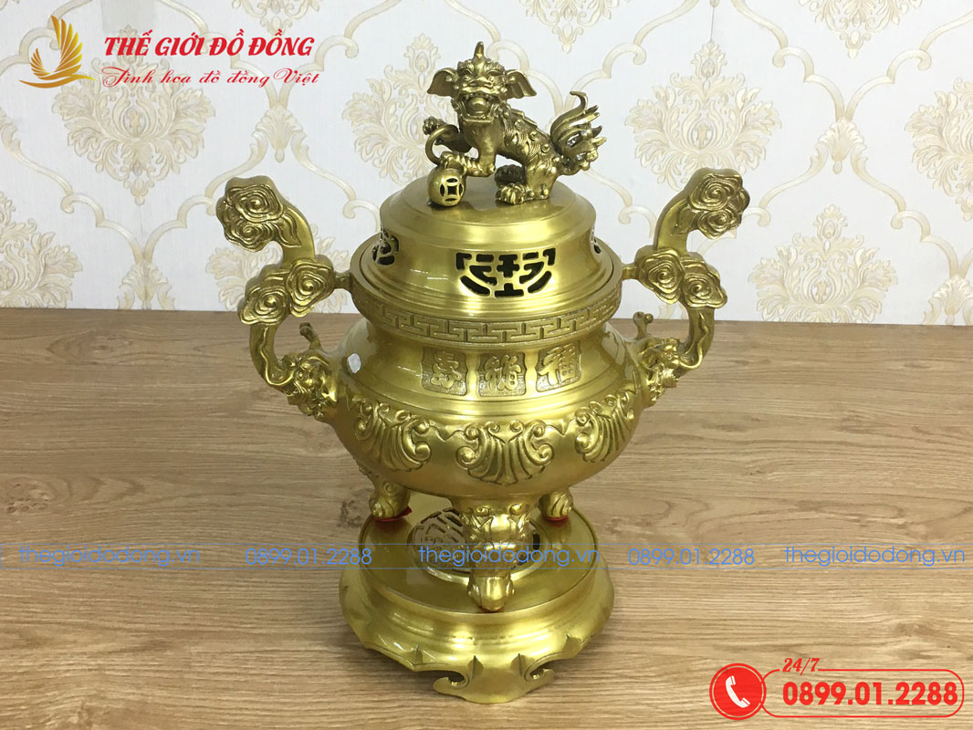 dinh-soi-mau-vang-dam-cao-40cm-06 đỉnh sòi màu vàng đậm cao 40cm - 06