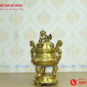 đỉnh sòi màu vàng đậm cao 40cm - 07