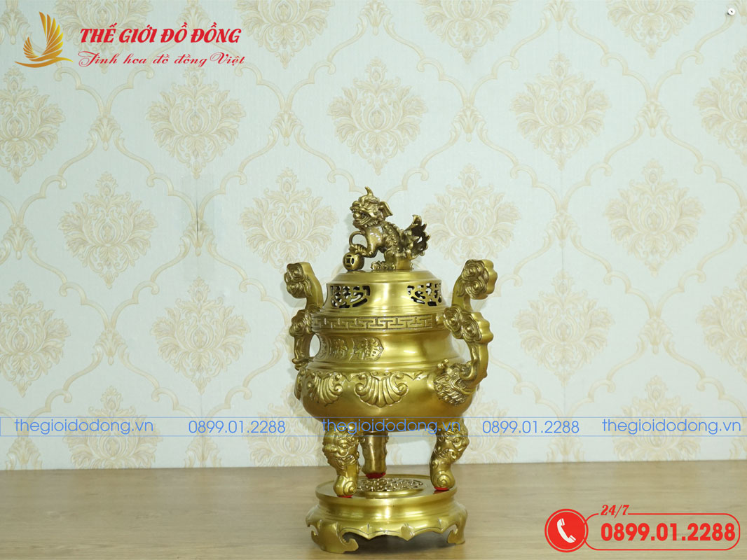 dinh-soi-mau-vang-dam-cao-40cm-07 đỉnh sòi màu vàng đậm cao 40cm - 07