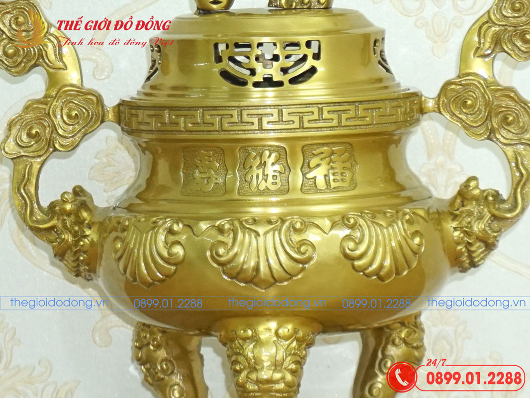 dinh-soi-mau-vang-dam-cao-40cm-08 đỉnh sòi màu vàng đậm cao 40cm - 08