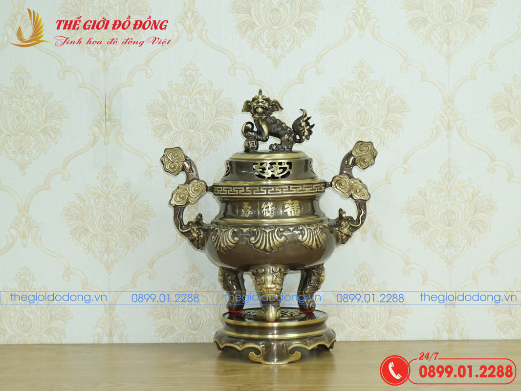 dinh-soi-mau-xanh-cao-cao-40cm-06 đỉnh sòi màu xanh cạo cao 40cm - 06