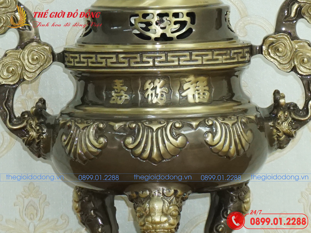 dinh-soi-mau-xanh-cao-cao-40cm-07 đỉnh sòi màu xanh cạo cao 40cm - 07